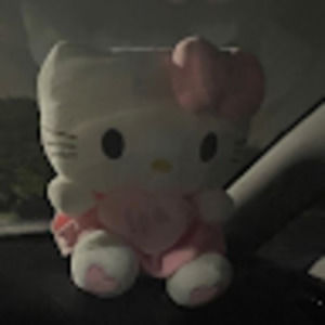 Meet your Posher, Erica